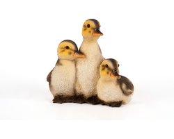 drie rustende eendjes