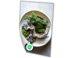 Drijfhout en mos decoratie - Natuur posters - Wanddecoratie drijfhout - Japandi - Muurdecoratie klassiek - Kunst - poster 30x40 cm