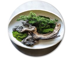 Drijfhout en mos decoratie - Natuur wanddecoratie rond - Wandbord drijfhout - Japandi - Muurcirkels van Forex - Wanddecoratie kunst - muurcirkel forex 100x100 cm