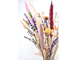 Droogbloemen - boeket 50 cm - Mixed Colors - Natuurlijk Bloemen