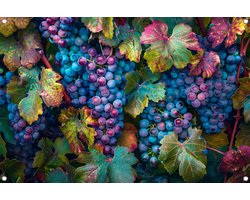 Druiven tuinposter - Fruit poster - Tuinposter Bladeren - Buiten - Tuin accessoires - Tuindecoratie wanddecoratie tuinposter 90x60 cm