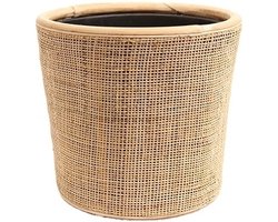 Drypot Webbing Blond S