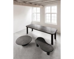 DTP Home Dining table Clio rectangular 260 PEPPER,76x260x100 cm, mortex