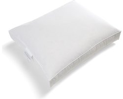 Ducky Dons Boxkussen - 30% Eendendons - Zacht - 50x60x8 cm - Wit