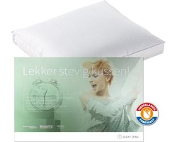 Ducky Dons Boxkussen Veren & Latex - 50x60x8 cm - Wit