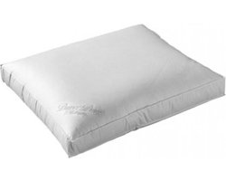 Ducky Dons Duvet Doré Platinum Box Hoofdkussen - 100% Ganzendons - Zacht