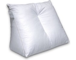Ducky Dons Lekker Lui Lezen Loungekussen - 45x65x30