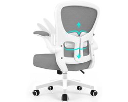 Durrafy Bureaustoel - Ergonomische bureaustoel tot 150 kg - Bureaustoelen voor Volwassenen - Getest volgens EN 1335 - Verstelbare Lendensteun - 90° Opklapbare Armleuningen - Dik Zitkussen - Grijs