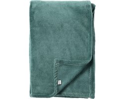 Dutch Decor - OWEN - plaid 130x160 cm - coral fleece deken - heerlijk zacht - Sagebrush Green - groen