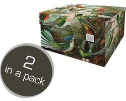 Dutch Design Brand - Dutch Design Storage Box Medium - Opbergdoos - Opbergbox - Bewaardoos - Planten, Jungle, Kolibries - Art of Nature