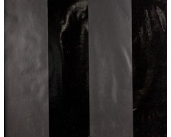 Dutch Wallcoverings Vlies Design streep - Zwart/glans/mat