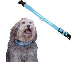 Dutchwide Lichtgevende Honden Halsband - M 37-46 cm - LED - Oplaadbaar - Halsbanden en Riemen - Hond - Geschikt voor Puppy - Lampje - Verlicht - Reflecterend - Verstelbaar - Blauw