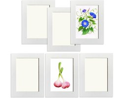 Duurzaam Fotolijstje van Karton 17.5 x 13.5 cm | Crème Witte Collage Fotolijst | Verwijderbare Wandbevestiging en Transparante Stofhoezen voor Bescherming