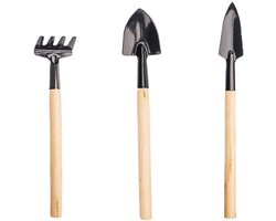E-Ambar - 3-delige Mini Tuingereedschap Set voor Indoor Planten - Ijzeren Schop, Troffel en Hark - Handgereedschap voor Succulenten en Bonsai Tuinieren