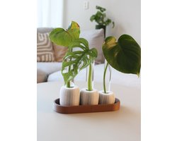 Earth Loops – Stekjeshouder voor 3 plantenstekjes – Inclusief glazen buisjes – Duurzaam & modern design – Planten stekjes houder