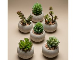 Easyplants Kunst Vetplanten in Cementen Pot - Groen - 6 Vetplanten