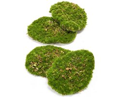 Easyplants Kunstmos Decoratie - Groen - 4 Kunstmossen
