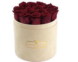 Echte Eeuwige Rozen van Rose du Château – Speciale Editie Flocked Flowerbox – Handgemaakt & Duurzaam – Fluweel – Luxe Cadeau voor Valentijnsdag, Verjaardag of Jubileum – Tijdloze Liefde – TELEO