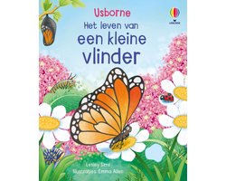 Een kleine vlinder