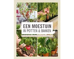 Een moestuin in potten en bakken