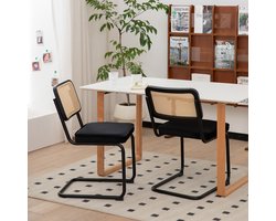 Eetkamerstoel - Set Van 2 - Velvet Rattan Side Stoel Met Chrome Poten Mid Century Design - Woonkamer Keuken Eetkamer - Fluweel Rattan - Onbekend