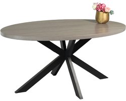 Eettafel ovaal melamine 160cm Tommy grijs ovale tafel