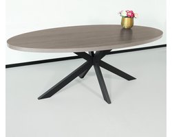 Eettafel ovaal melamine 210cm Tommy grijs ovale tafel