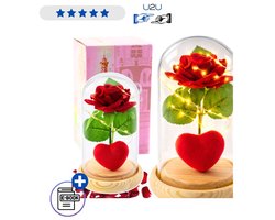 Eeuwige Rode Roos In Glazen Koepel Met LED Verlichting En Houten Voet 14x8 cm Romantisch Cadeau Met Warm Wit Licht Inclusief Batterijen Luxe Geschenkdoos Voor Valentijn Jubileum Verjaardag Met Ebook