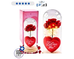 Eeuwige Rode Roos In Glazen Koepel Met LED Verlichting En Houten Voet Romantisch Cadeau 18,5x8 cm Met Warm Wit Licht Inclusief Batterijen Luxe Geschenkdoos Voor Valentijn Jubileum Verjaardag Met Ebook