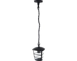 EGLO Aloria - Buitenverlichting - Hanglamp - 1 Lichts - Ø170mm. - Zwart - Helder