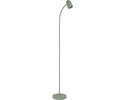 EGLO Carlo Vloerlamp - E14 - 170 cm - Groen - Kantelbaar