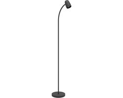 EGLO Carlo Vloerlamp - E14 - 170 cm - Zwart - Kantelbaar