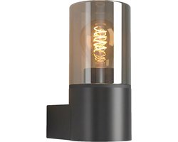 EGLO Cropani Wandlamp Buiten - E27 - 19.5 cm - Zwart/Grijs/Transparant