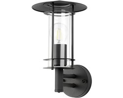 EGLO Lisio 1 Wandlamp Buiten - E27 - 30 cm - RVS - Glas - Zwart