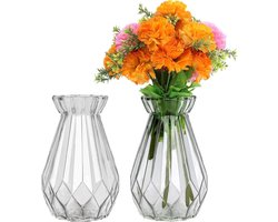EGoods - Decoratieve glazen vazen set - Modern design - Huis en kantoor decoratie