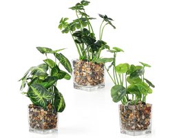 Egoods - Plastic nepplanten in doorzichtige glazen potten, set van 3 voor binnen en buiten - decoratie voor huis, tuin, muurmand, bruiloft en kantoor