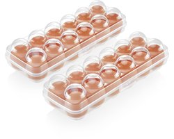 Eierdoos voor koelkast - 12 eieren - set van 2 - transparant - voedselveilig plastic