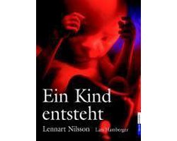 Ein Kind entsteht
