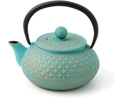 Elegante IJzeren Theepot - Multicolor - 0,5 liter - met RVS filter