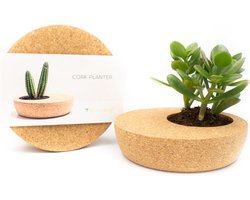 Elegante Kurken Bloempot voor Bonsai en Vetplanten - Perfect voor Binnen - 1 stuk - Natuurlijk