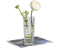 Elegante rechthoekige glazen vaas met reliëf voor bloemen en decoratie