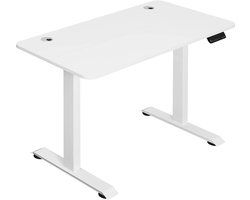 Elektrisch Gaming Bureau - Bureau - Kantoorbureau - Hoogte Verstelbaar - 120x60cm - 4 Geheugeninstellingen - Stalen Frame - 120 x 60 x 1.8 cm