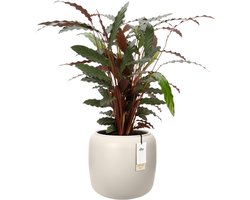 Elho Amber Beads Small 40 - Bloempot voor Binnen & Buiten - 100% Gerecycled Plastic - Ø 39.2 x H 34.9 cm - Linnen wit