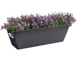 Elho Barcelona Balkonbak 50 - Plantenbak voor Balkon Buiten - Ø 49.8 x H 16.0 cm - Antraciet