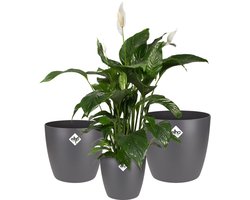 Elho Brussels Rond Bloempotten - Plantenpotten voor Binnen - 100% Gerecycled Plastic - Set van 3 - Ø 16, 18, 20 cm - Antraciet