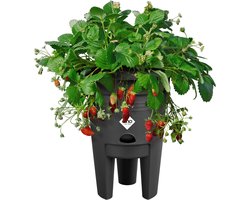 Elho green basics aardbeien pot - plantenpot voor moestuinieren - Aardbeien Kweken en Oogsten - 33cm - Living black