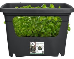 Elho Green Basics Stack & Grow 50 - Stapelbare Kweekbak - Verticaal Tuinieren - 100% Gerecycled Plastic - Ø 50.9 x H 35.7 cm - Living black