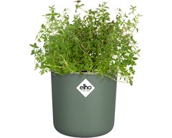 Elho Happy Herbs 15 - Kruidenpot met Waterreservoir - Bloempot van 100% Gerecycled Plastic - Ø 24.5 x H 23.1 cm - Blad groen