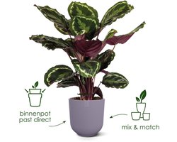 Elho Jazz Rond 19 Bloempot voor Binnen - Woonaccessoire van 100% Gerecycled Plastic - Ø 18.9 x H 17.6 cm - May green