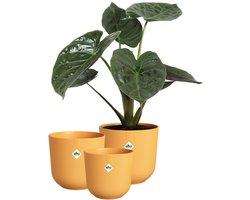 Elho Jazz Rond - Bloempotten voor Binnen - 100% Gerecycled Plastic - Set van 3 - Ø 14, 16, 19 cm - Amber geel